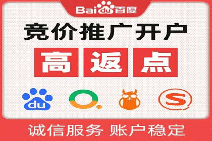 网络推广中的竞价广告：成功案例解析